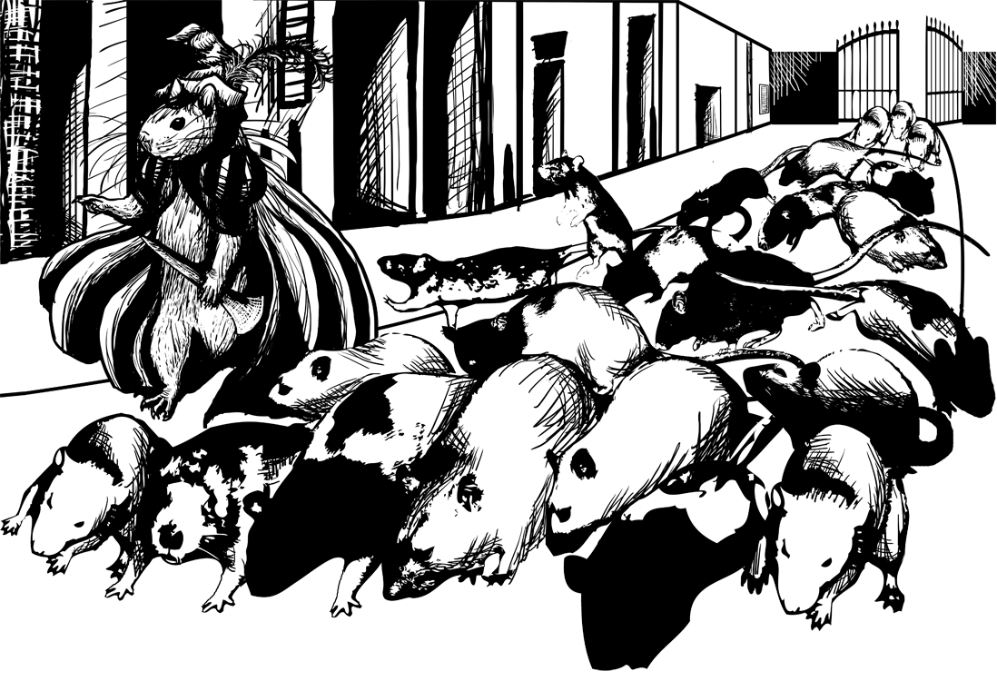 The Pied Piper, November 2010